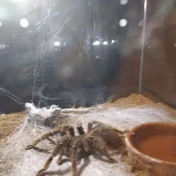 Aleysk Cultural Center - Aleysk