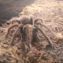 Aleysk Cultural Center - Aleysk