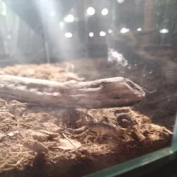 Aleysk Cultural Center - Aleysk