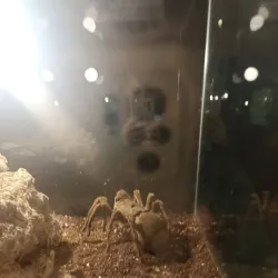 Aleysk Cultural Center - Aleysk