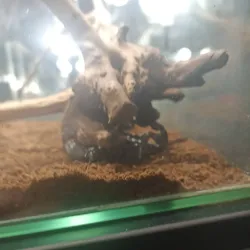 Aleysk Cultural Center - Aleysk