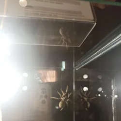 Aleysk Cultural Center - Aleysk