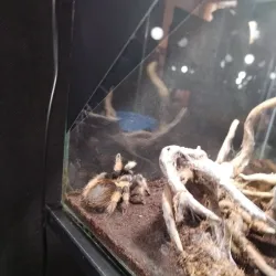 Aleysk Local History Museum - Aleysk