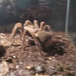 Aleysk Local History Museum - Aleysk