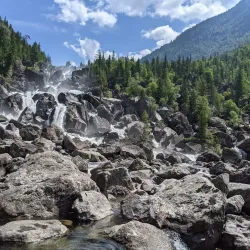 Altai Krai Nature Reserve (near Aleysk) - Aleysk