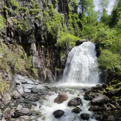 Altai Krai Nature Reserve (near Aleysk) - Aleysk