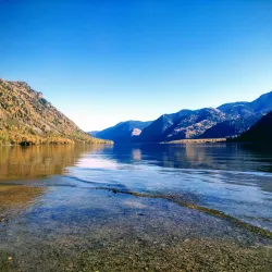 Altai Krai Nature Reserve (near Aleysk) - Aleysk