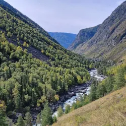 Altai Krai Nature Reserve (near Aleysk) - Aleysk