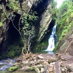 Altai Krai Nature Reserve (near Aleysk) - Aleysk