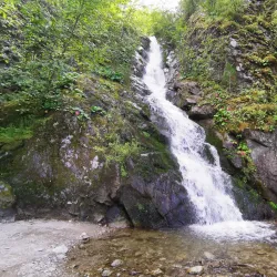 Altai Krai Nature Reserve (near Aleysk) - Aleysk
