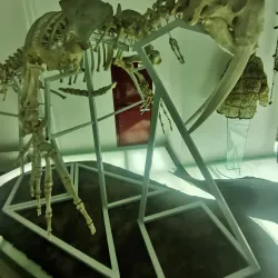 Anadyr Museum - Anadyr