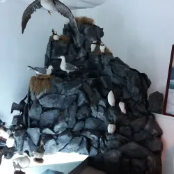 Anadyr Museum - Anadyr