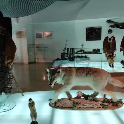 Anadyr Museum - Anadyr