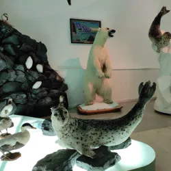 Anadyr Museum - Anadyr