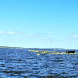 Anadyr River - Anadyr