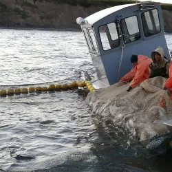 Anadyr River - Anadyr