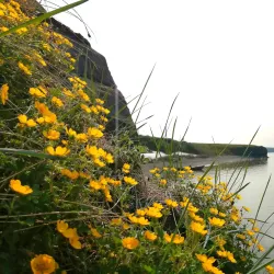 Anadyr River - Anadyr
