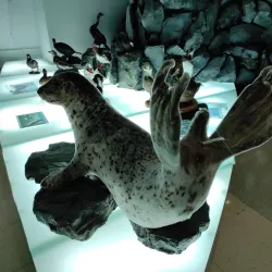 Indigenous Cultural Center - Anadyr