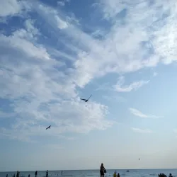 Anapa Beaches - Anapa