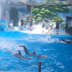 Anapa Dolphinarium - Anapa