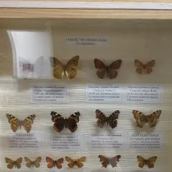 Anapa Historical Museum - Anapa