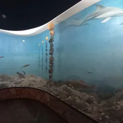 Anapa Historical Museum - Anapa