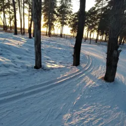 Angarsk Botanical Garden - Angarsk