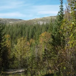 Khibiny Mountains - Apatity