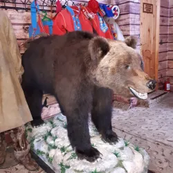 Sami Cultural Center - Apatity