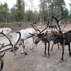 Sami Cultural Center - Apatity