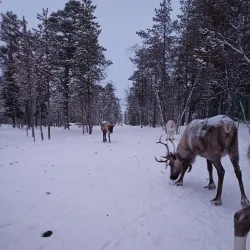 Sami Cultural Center - Apatity