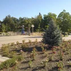 Central Park of Culture and Leisure - Armavir