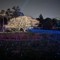City Botanical Garden - Armavir