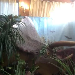 Crimean Steppe - Armyansk