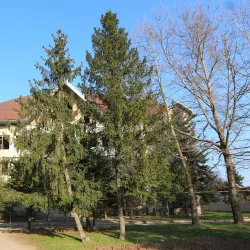 Crimean Steppe - Armyansk