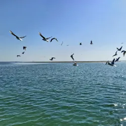 Salt Pans of Syvash - Armyansk