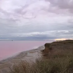 Salt Pans of Syvash - Armyansk