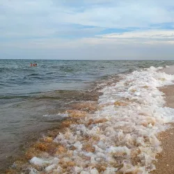 Sea of Azov Coastline - Armyansk