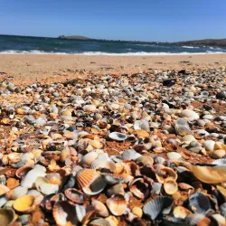 Sea of Azov Coastline - Armyansk