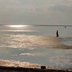 Sea of Azov Coastline - Armyansk