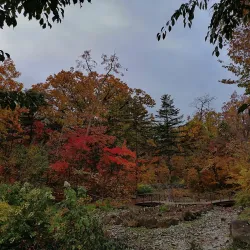 Arsen'yev Botanical Garden - Arsen'yev
