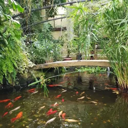 Arsen'yev Botanical Garden - Arsen'yev