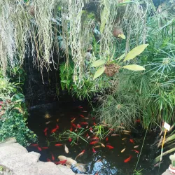 Arsen'yev Botanical Garden - Arsen'yev