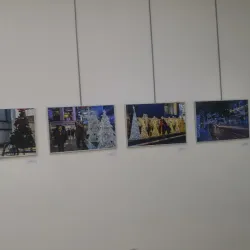 Local Art Gallery - Arsen'yev