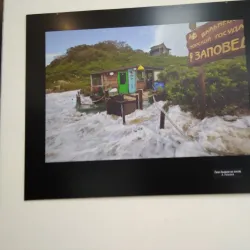 Local Art Gallery - Arsen'yev