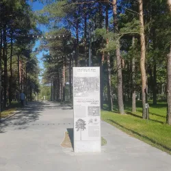 Monument to Vladimir Arsenyev - Arsen'yev
