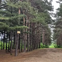 Monument to Vladimir Arsenyev - Arsen'yev