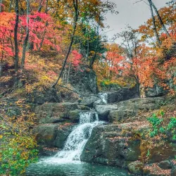 Nearby Hiking Trails - Arsen'yev