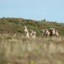 Vostochny State Nature Biosphere Reserve - Arsen'yev