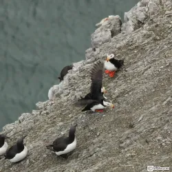 Vostochny State Nature Biosphere Reserve - Arsen'yev